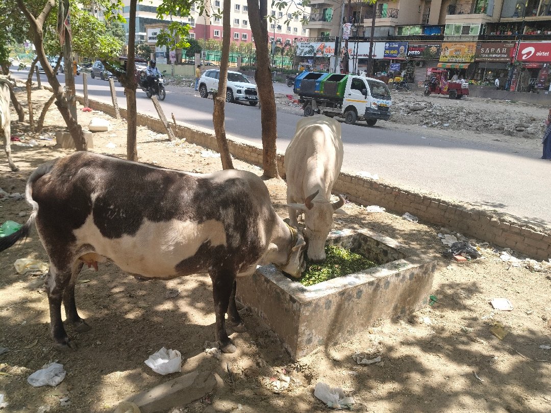today's feed siddarth vihar ghaziabad